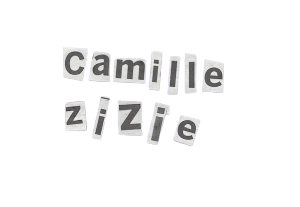 Le site web de Camille Zizie